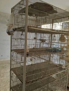 20 portion cage for sell