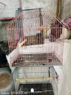 Parrot Used Cages