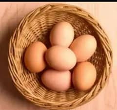 pure dassy egg