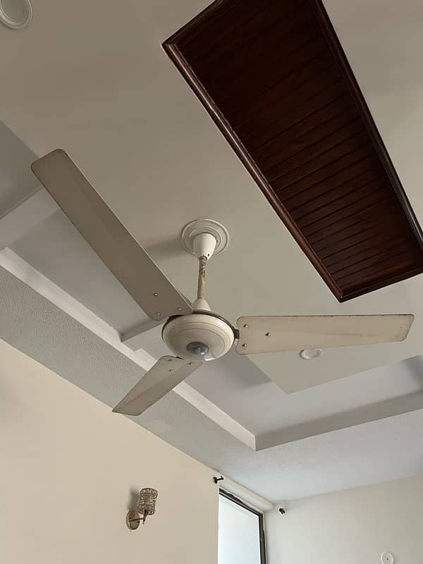 Ceiling Fans ( 8 Fans Available For Sale ) 1