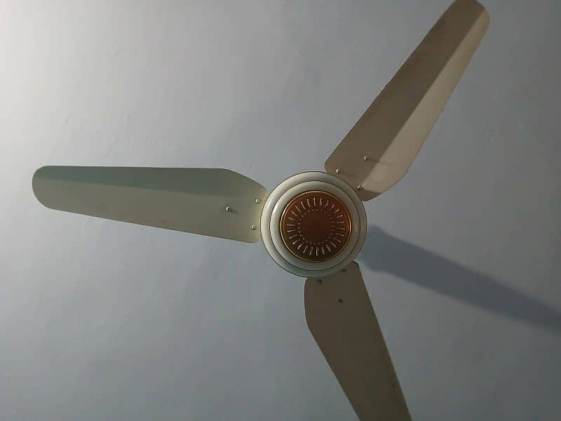 Ceiling Fans 9