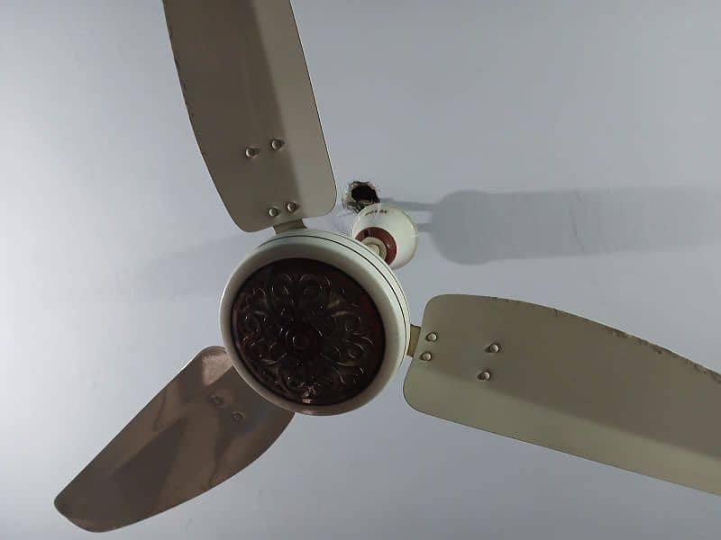 Ceiling Fans 10