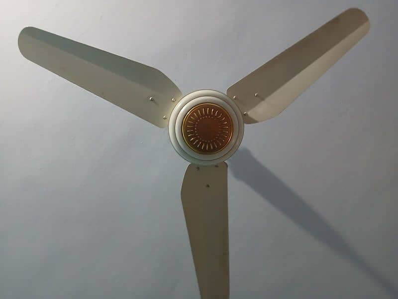 Ceiling Fans 11