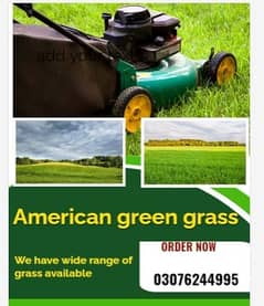 American Natural Lash Green Grass