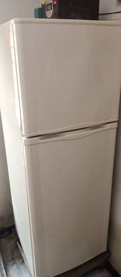 Dawnlace company fridge