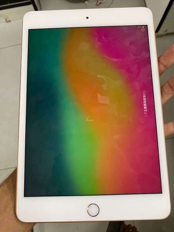 Ipad mini 5 64 Gb 5