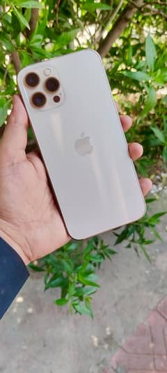 Iphone 12 Pro Max Gold 128GB