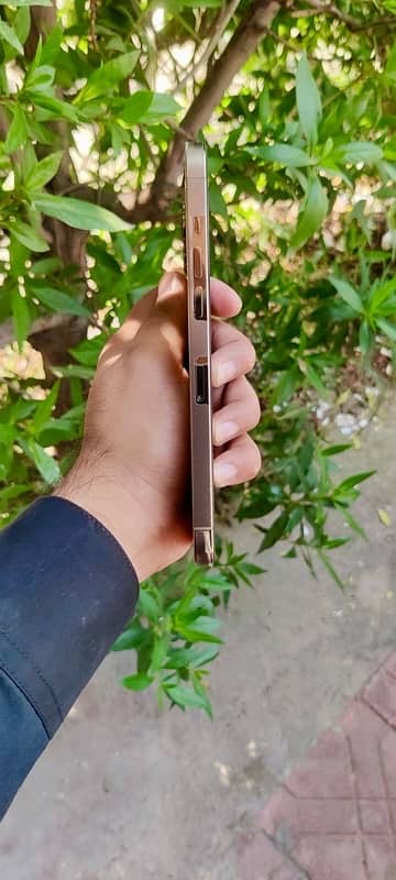 Iphone 12 Pro Max Gold 128GB 3