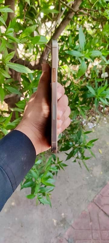 Iphone 12 Pro Max Gold 128GB 6