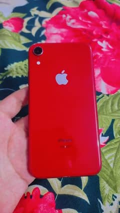 iPhone xr 64 gb jv