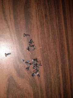 Laptop screw