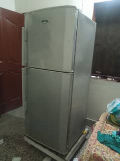 Haier company refrigerator