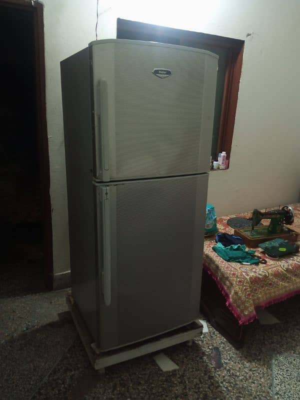 Haier company refrigerator 3