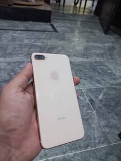 iphone 8 plus pta approved