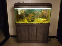 Big Aquarium with fishes ( 4 x 1.25 x 1.5) ft size