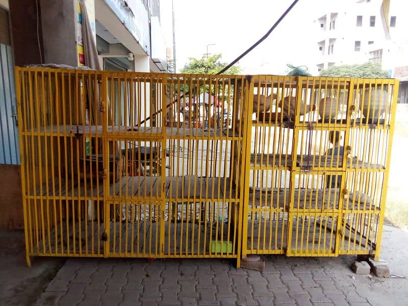 Pinjra Birds Cages Tables For sale 1