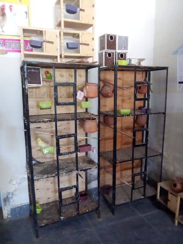 Pinjra Birds Cages Tables For sale 9