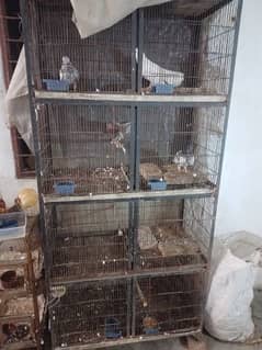 birds cage