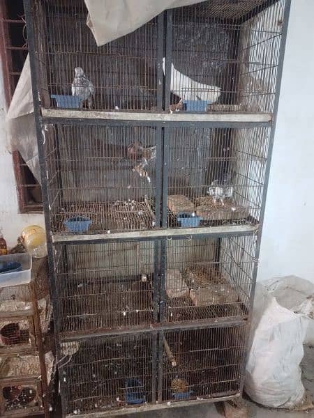 birds cage 0