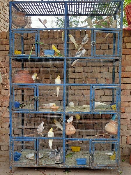 Birds cage for sale| iron cage | breeding season cage 1