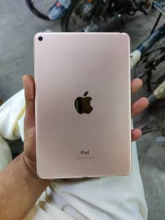 apple ipad mini 5