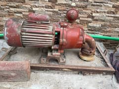 Gazi single ampeler pump