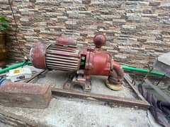 Gazi pump single ampeler