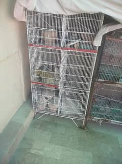 6 partition cage available