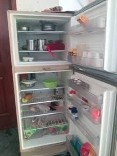 Refrigerator / home fridge / refrigerator for sale