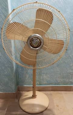 Pak Fan Pedestal Fan