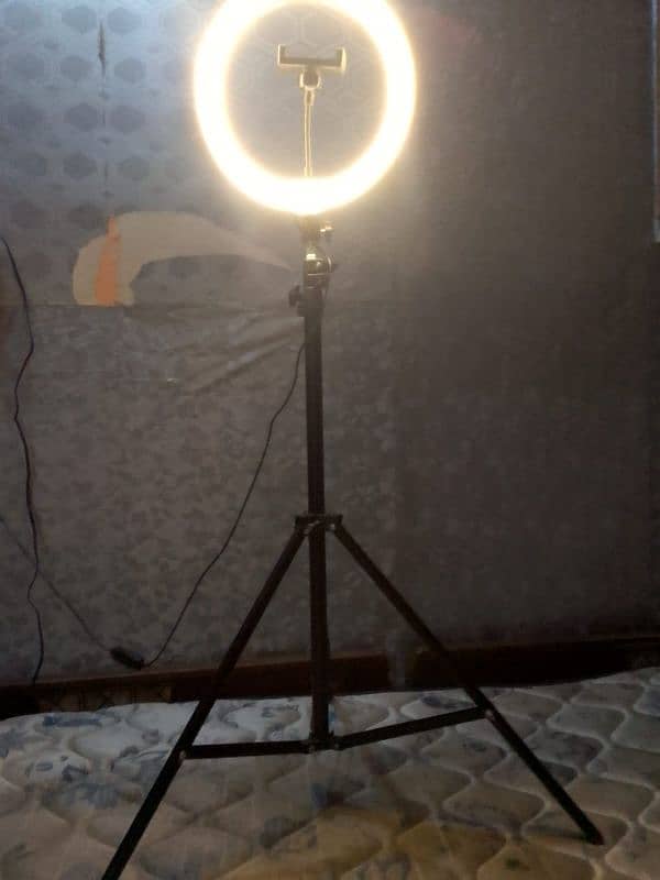 Led Ring Light 9.5 Inches 3 colours Video And Pick Making HD Result 2