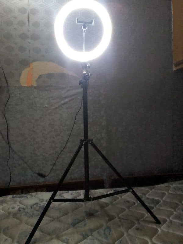 Led Ring Light 9.5 Inches 3 colours Video And Pick Making HD Result 4