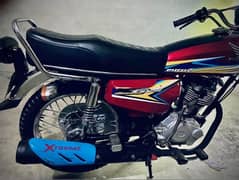 03217598875 Honda 125 urgent sale