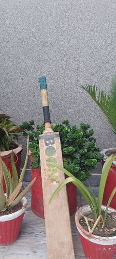 Boom Professional Hardball Cricket Bat