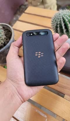 blackberry