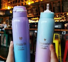 portable stainless steel straw cup water bottle