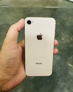 iPhone 8 PTA approved