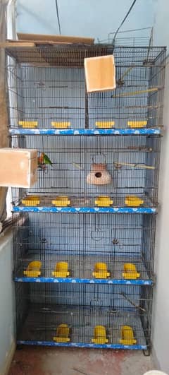 Birds Cage for Sale