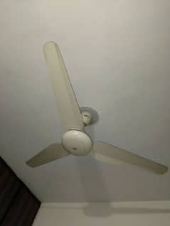 Sk selling fan very nice condition