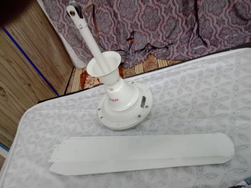 ceiling fan and Air Fan water cooler for Sale 2