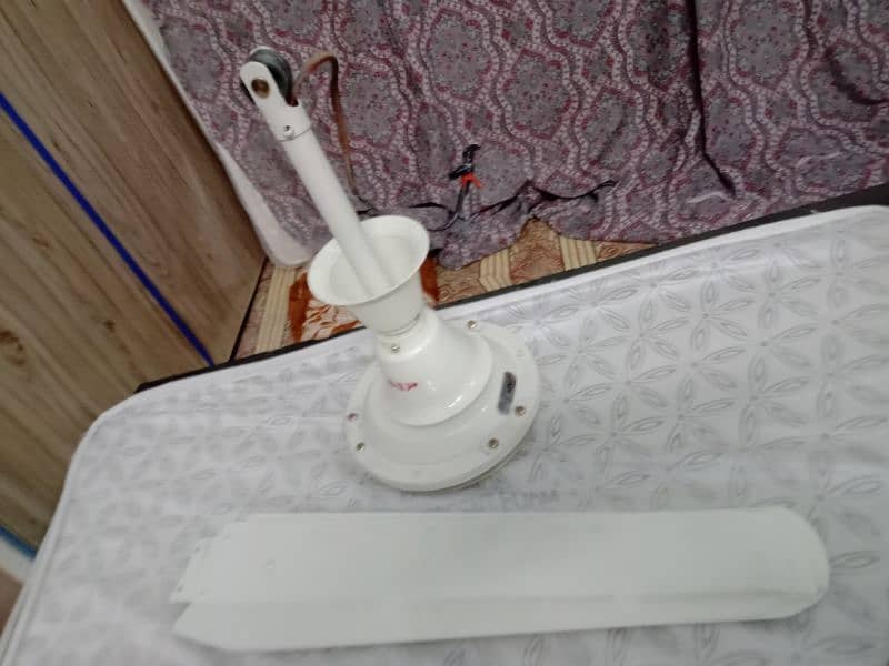 ceiling fan and Air Fan water cooler for Sale 3