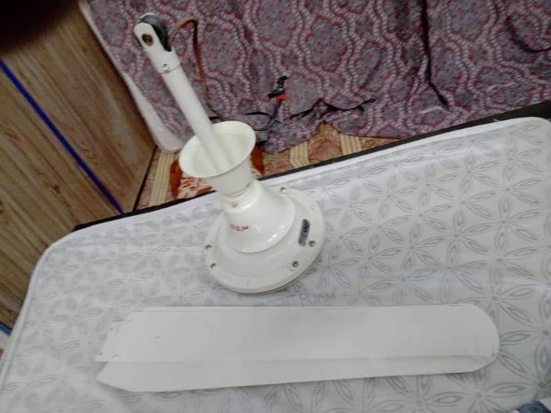 ceiling fan and Air Fan water cooler for Sale 4