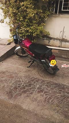 CHAMPION 70 CC BIKE FOR SALE