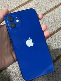 iphone 12 256gb Exchange possible with iphone 11 PTA approved