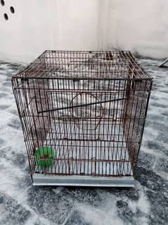 cage for birds for sale