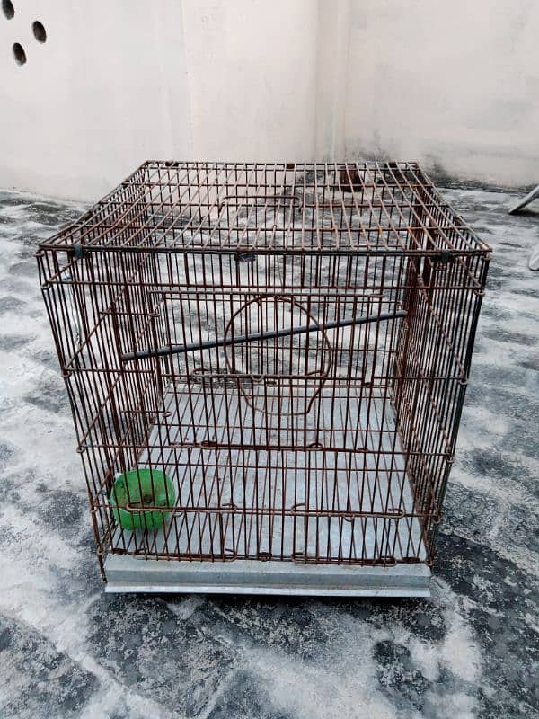 cage for birds for sale 0