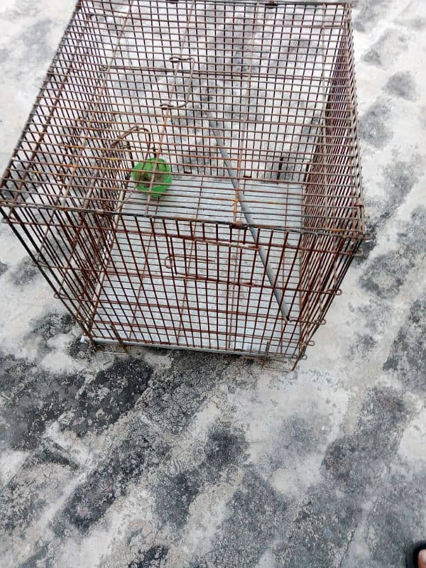 cage for birds for sale 2