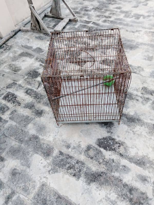 cage for birds for sale 3