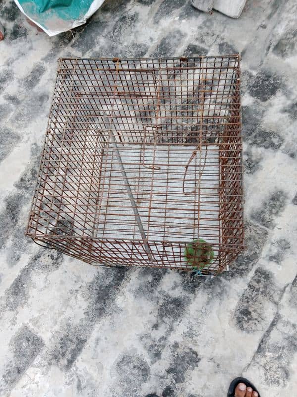 cage for birds for sale 4