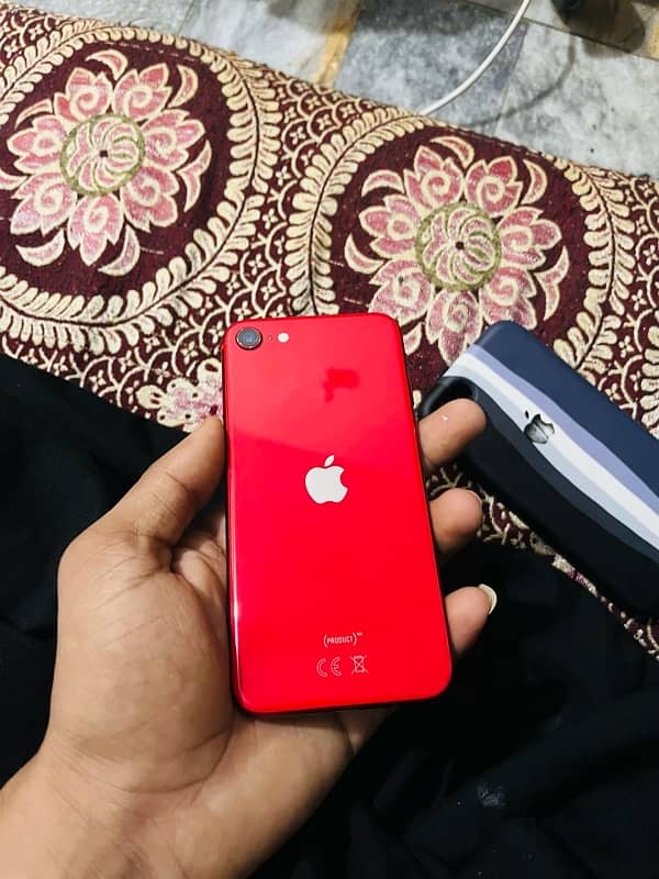 Iphone 8 pta official approved 1